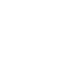 Fleur de lys